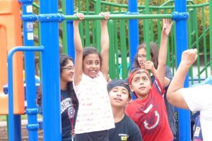 Field Day playground 1
